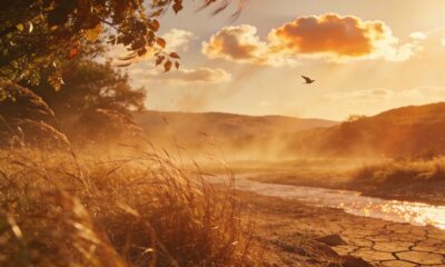 Vento quente no fim da tarde não é acaso e segue um padrão