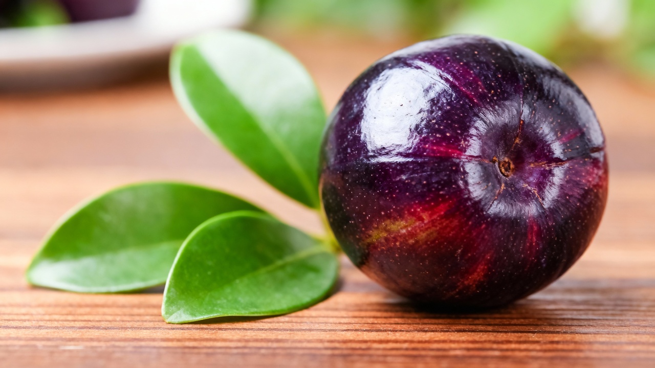 O jamelão que une beleza no paisagismo e produção generosa de frutos