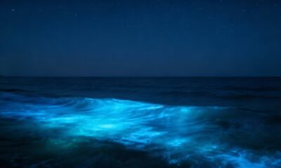 Esse brilho misterioso no mar aparece à noite e tem explicação natural