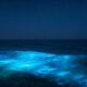 Esse brilho misterioso no mar aparece à noite e tem explicação natural