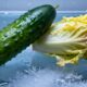 O motivo de o pepino continuar crocante no frio enquanto a alface murcha