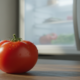 Esse cuidado ajuda a conservar tomate maduro fora da geladeira