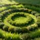 O que explica o surgimento de círculos perfeitos na vegetação e intriga pesquisadores
