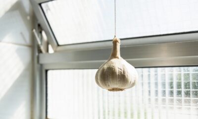 Pendurar um dente de alho na janela: para que serve e por que recomendam
