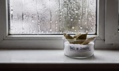 Coloque sal e três folhas de louro em cada cômodo e veja esse problema que afeta toda casa desaparecer