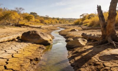 O que acontece com os rios após longos períodos de seca prolongada