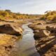 O que acontece com os rios após longos períodos de seca prolongada