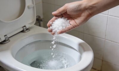 Jogue sal grosso no seu vaso sanitário de noite, e na manhã seguinte, você vai se agradecer
