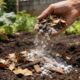 Folhas secas e cinzas de madeira viram adubo forte e melhoram o solo rápido