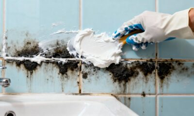 Experimente usar isso invés de água sanitária… O mofo em banheiros desaparece no mesmo instante