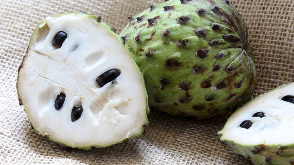 Quem planta atemoia assim costuma ter uma árvore saudável no quintal