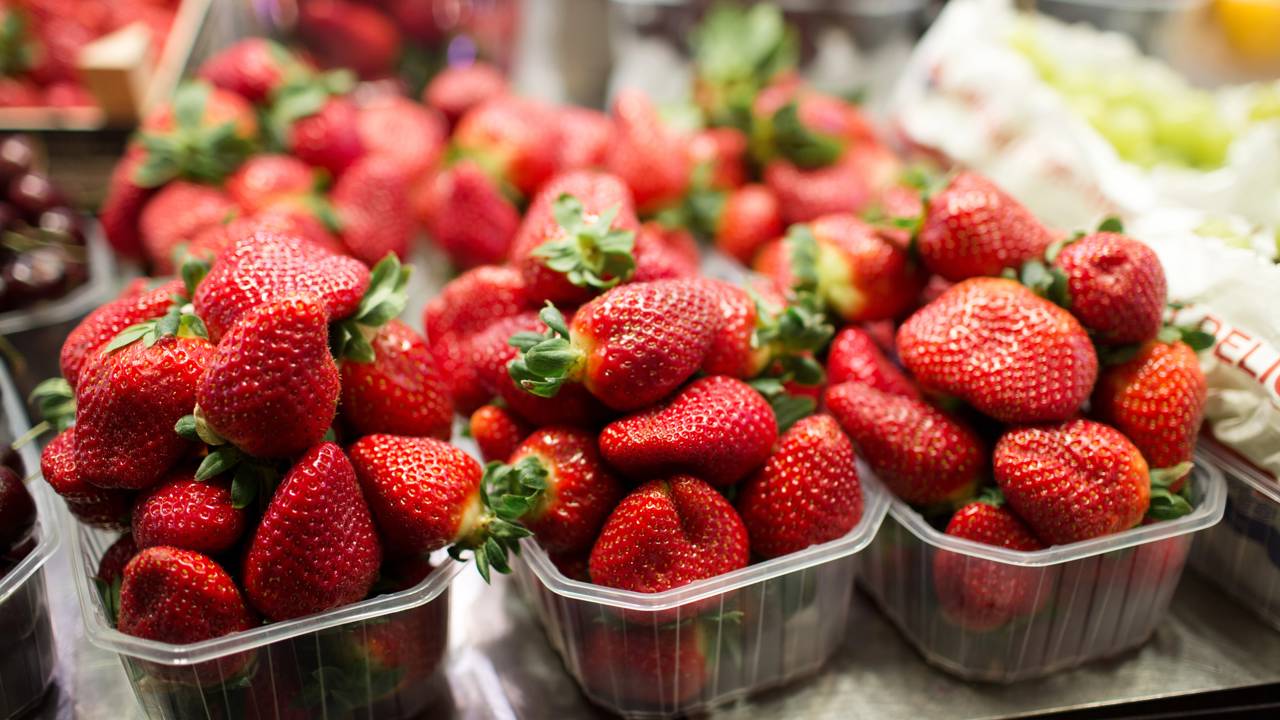 Com técnicas naturais, o cultivo de morango em vaso pode render frutas saudáveis