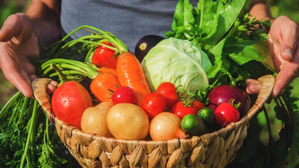 Top 6 alimentos para plantar em casa e garantir comida mesmo em tempos de crise