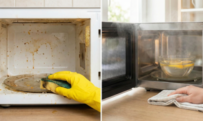 O truque do limão no micro-ondas que amolece gordura grudada e deixa tudo mais fácil de limpar