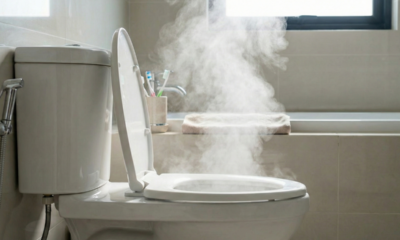 Pode parecer um hábito inofensivo, mas a tampa do vaso sanitário aberta pode ser a fonte de perigos invisíveis