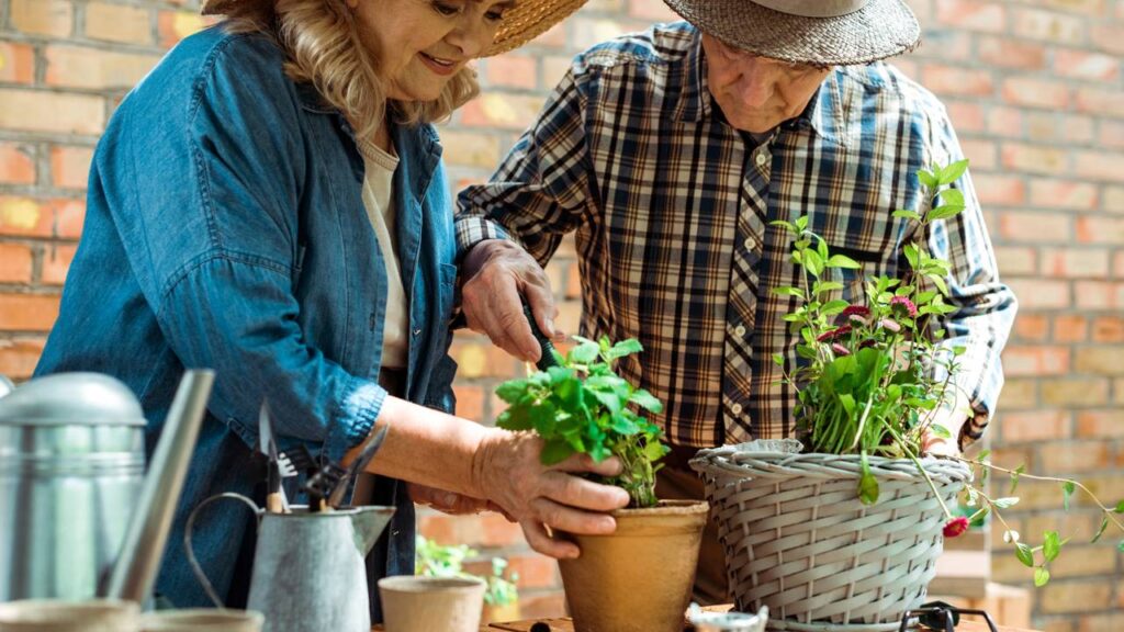 6 dicas de jardinagem para iniciantes que facilitam o cuidado e evitam erros comuns com as plantas