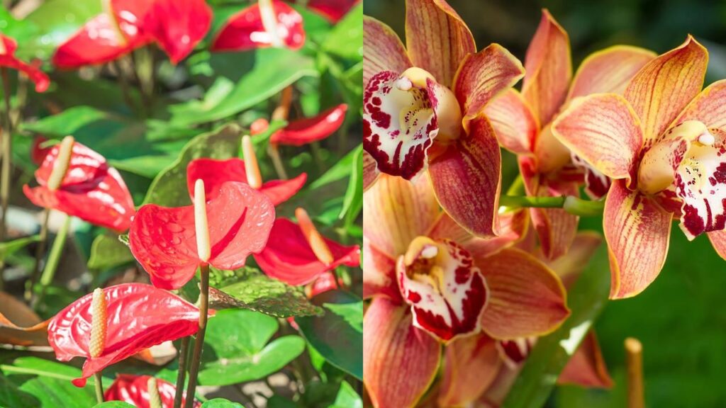 Essas flores decoram a casa por mais tempo sem precisar trocar sempre