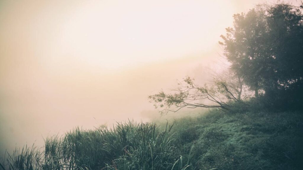 Por que a neblina aparece do nada em áreas abertas
