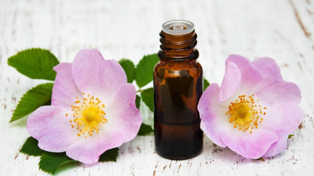 Benefícios do óleo de rosa mosqueta despertam interesse de quem busca cuidar melhor da pele madura