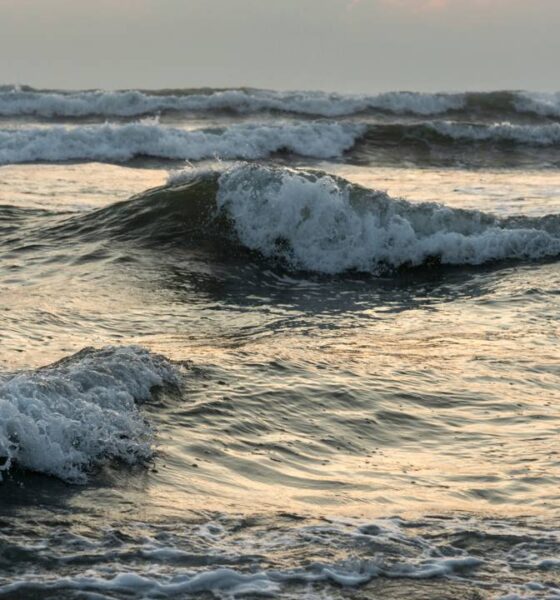 Por que o som do mar muda quando o tempo começa a virar