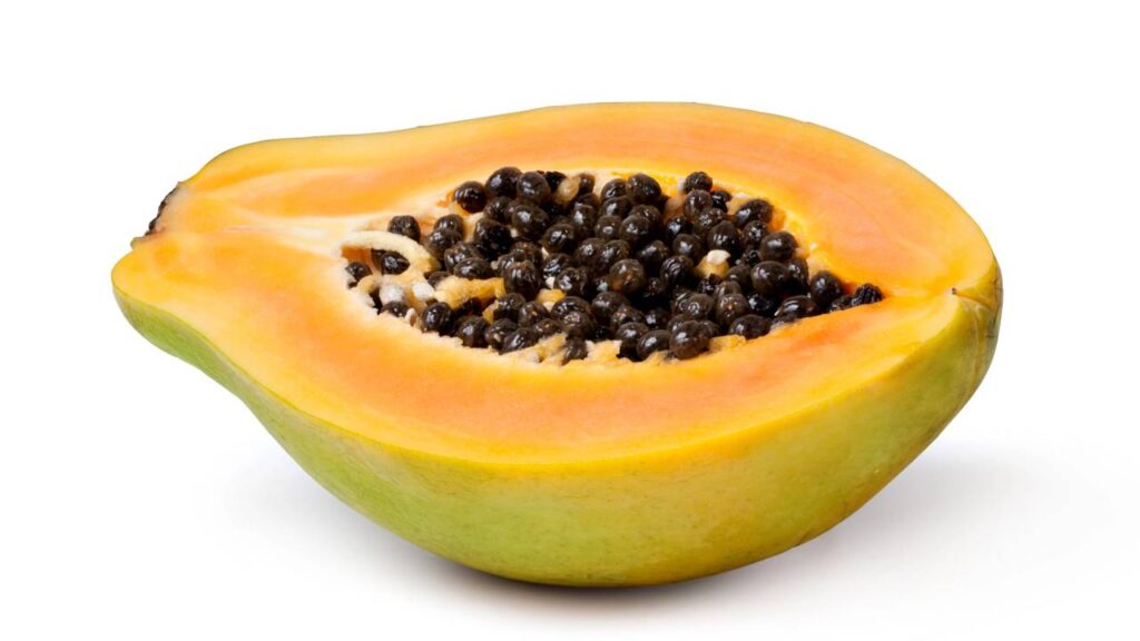 Pé de mamão produz em quanto tempo? Saiba quando começam a surgir os primeiros frutos