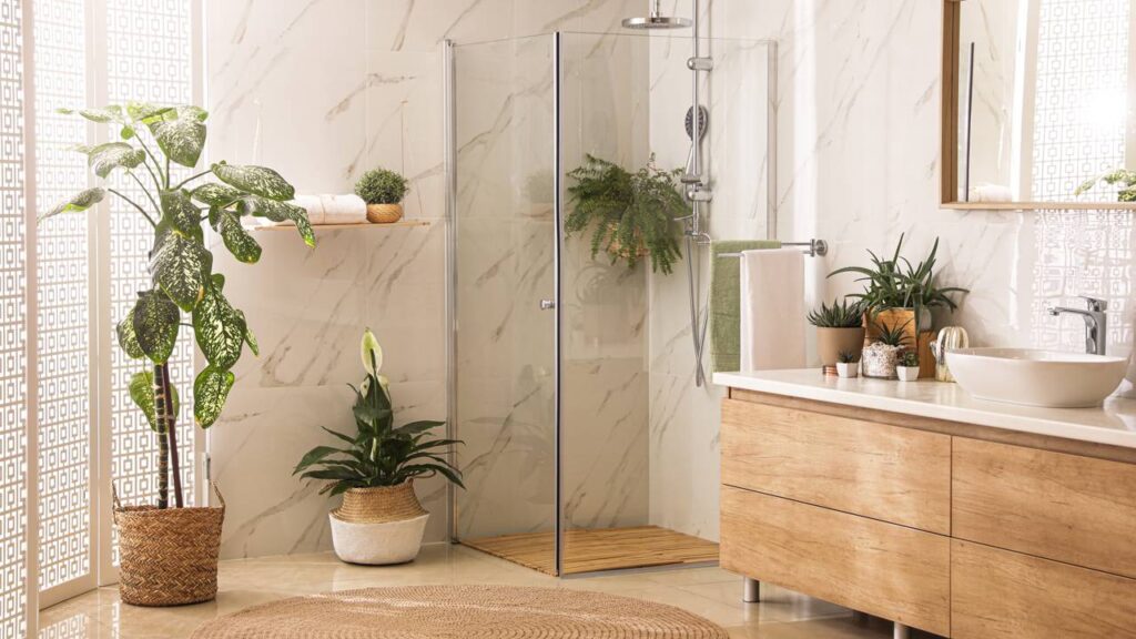 Como escolher as plantas ideais para o quarto, banheiro e cozinha sem errar na escolha