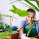 As melhores plantas para dentro de casa que deixam o ambiente mais bonito e agradável
