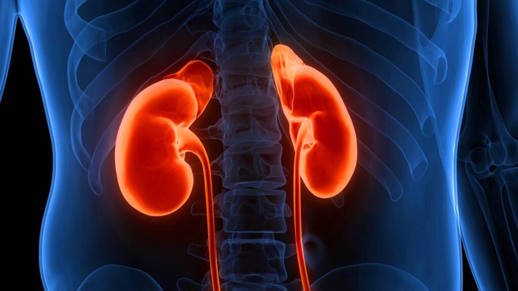 O que acontece com a saúde dos rins quando você corta o açúcar por 30 dias