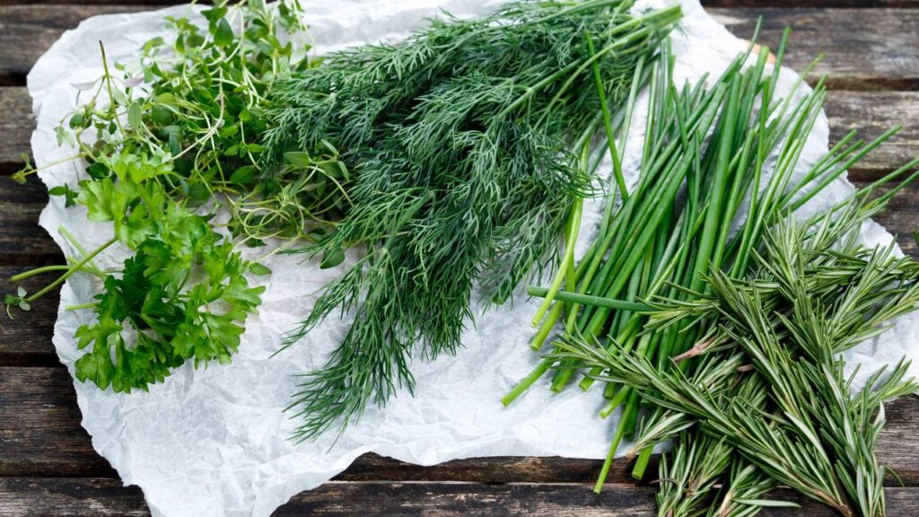 Adeus tempero murcho: essa é a hortinha de cheiro verde mais barata para colher sempre e gastar pouco