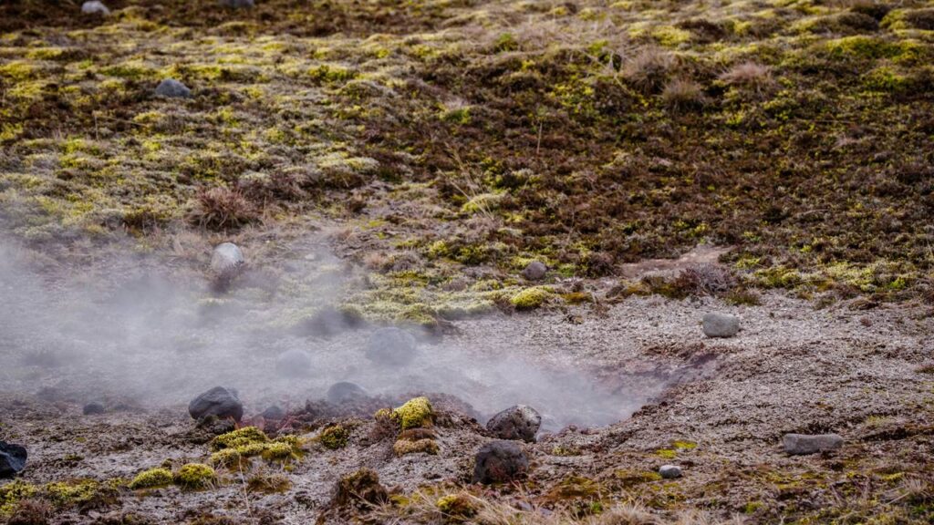 A terra parece “respirar” logo depois da chuva