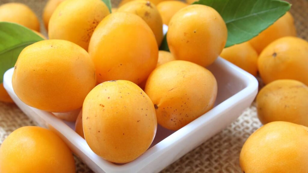 Essa fruta do Nordeste fica com gosto de iogurte natural quando amadurece bem