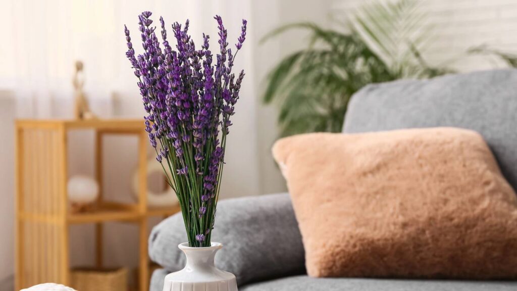 Essa planta me ensinou que nem tudo acontece no ritmo que a gente quer