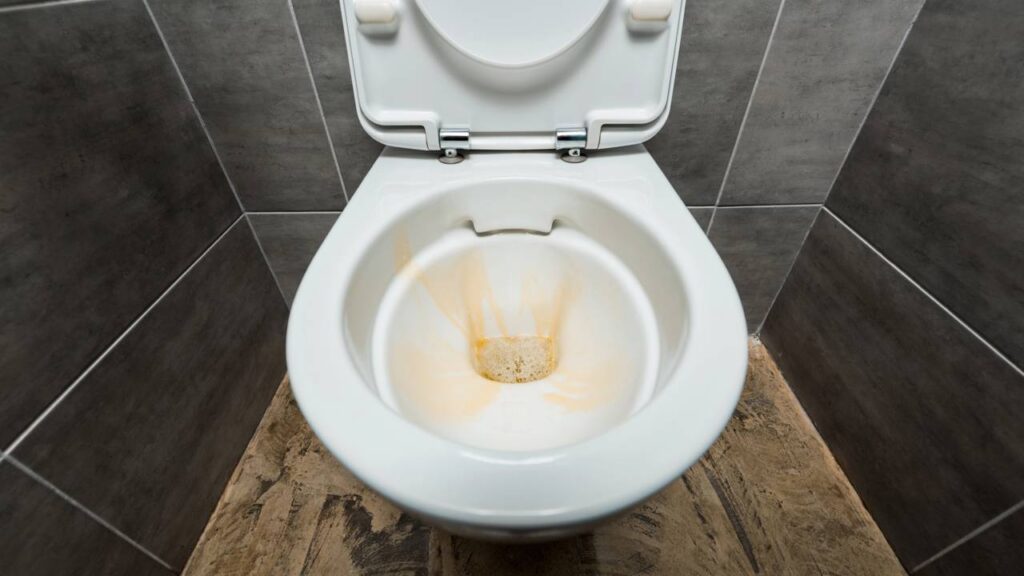 Sem alvejante ou bicarbonato: a mistura caseira com ingredientes de cozinha que deixa seu vaso sanitário branco para sempre