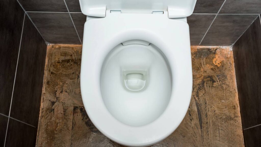 Sem alvejante ou bicarbonato: a mistura caseira com ingredientes de cozinha que deixa seu vaso sanitário branco para sempre