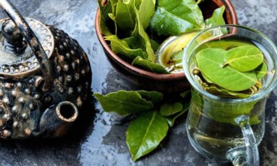 Chaleira rústica, tigela com folhas de louro frescas e copo com infusão de louro.