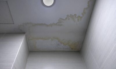 Teto branco com grandes manchas marrons e amareladas de umidade e mofo, indicando infiltração.