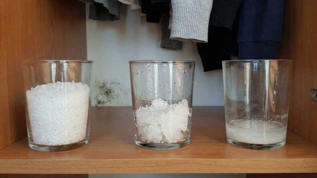 Eu nunca mais comprei desumidificador caro após usar sal grosso no guarda-roupa