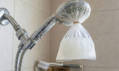 O seu cabeçote do chuveiro vai ficar como novo com este truque caseiro incrível