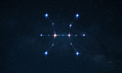 Peixes no amor: veja a compatibilidade com os 12 signos do zodíaco