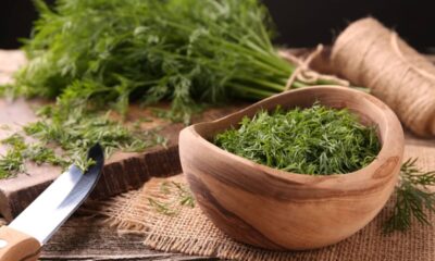 Endro: poderoso aliado da saúde com benefícios que vão além da cozinha