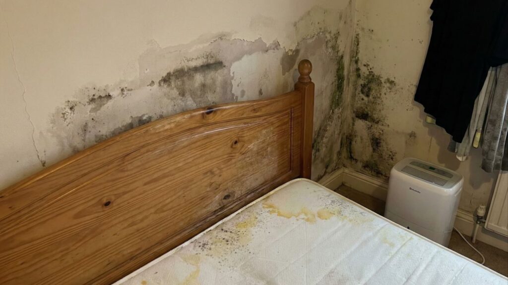 Por que colocar a cabeceira da cama na parede do banheiro é a pior decisão para seu sono