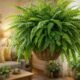 A samambaia-americana virou símbolo de abundância e acolhimento no lar