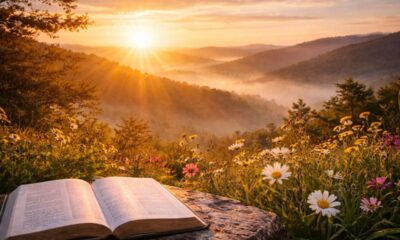 Versículo do dia: Lamentações 3:22–23 — esperança que se renova