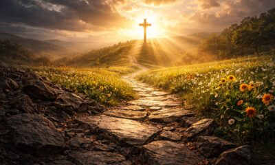 A promessa escondida em Gênesis 50:20 que fortalece quem enfrenta provações