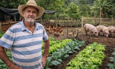 Horta, galinhas e porcos garantem alimento fresco o ano inteiro