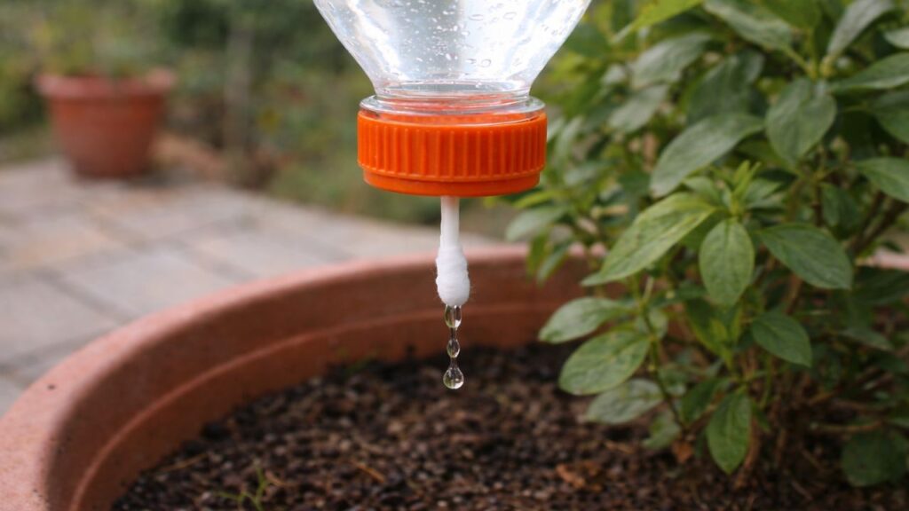 Garrafa plástica e cotonete criam sistema simples para regar plantas