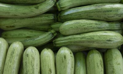 Os benefícios da abobrinha para a saúde e por que esse vegetal é tão recomendado