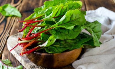 Benefícios da acelga para o organismo que quase ninguém percebe no consumo regular