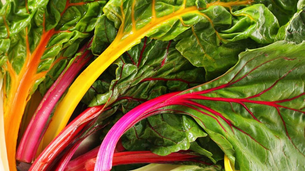 Benefícios da acelga para o organismo que quase ninguém percebe no consumo regular