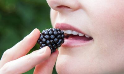 Pouca gente imagina, mas os benefícios da amora vão muito além do sabor doce